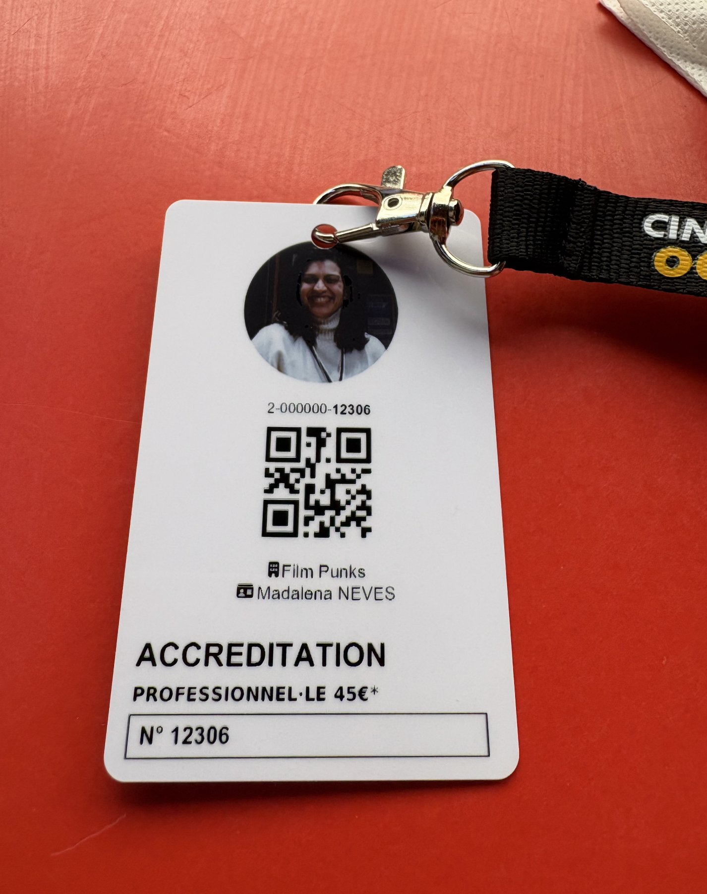 Film Punks professional accreditation for Festival La Rochelle Cinéma